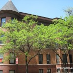 1034 w armitage