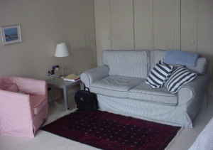 33-w-delaware-studio-livingroom.jpg