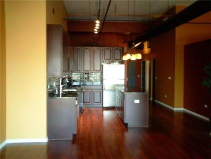 1645-w-ogden-_802-kitchen.jpg