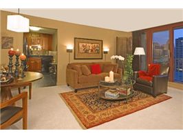 200-n-dearborn-livingroom.jpg