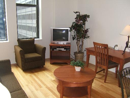 8-w-monroe-_801-livingroom.jpg