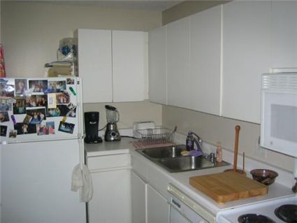 440-n-wabash-_1009-kitchen.jpg