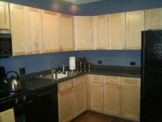 1120-w-armitage-_301-kitchen.jpg